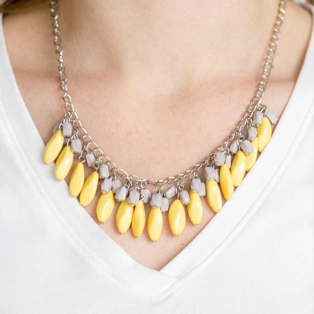 Paparazzi accessories